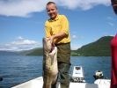 Gallery Sørfoldfjorden - Naturskjønn og fiskerik fjord. På bildet en torsk på 15 kg.