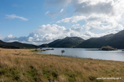 Røyrvatnet